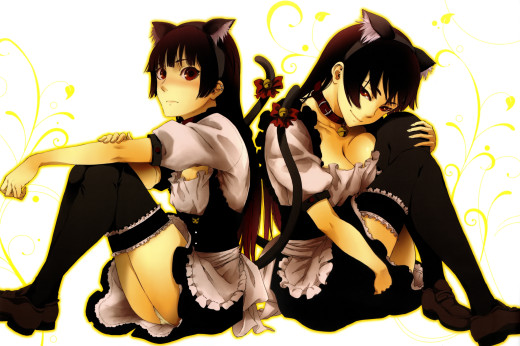 627180 (a): :2405x1600